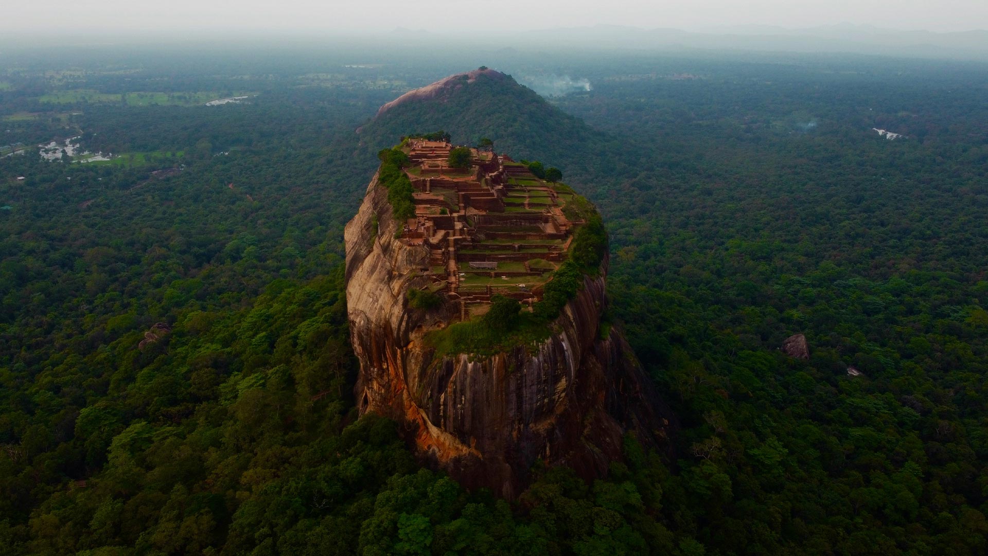 Ceylon Hush - Dambulla Sigiriya Lion Rock