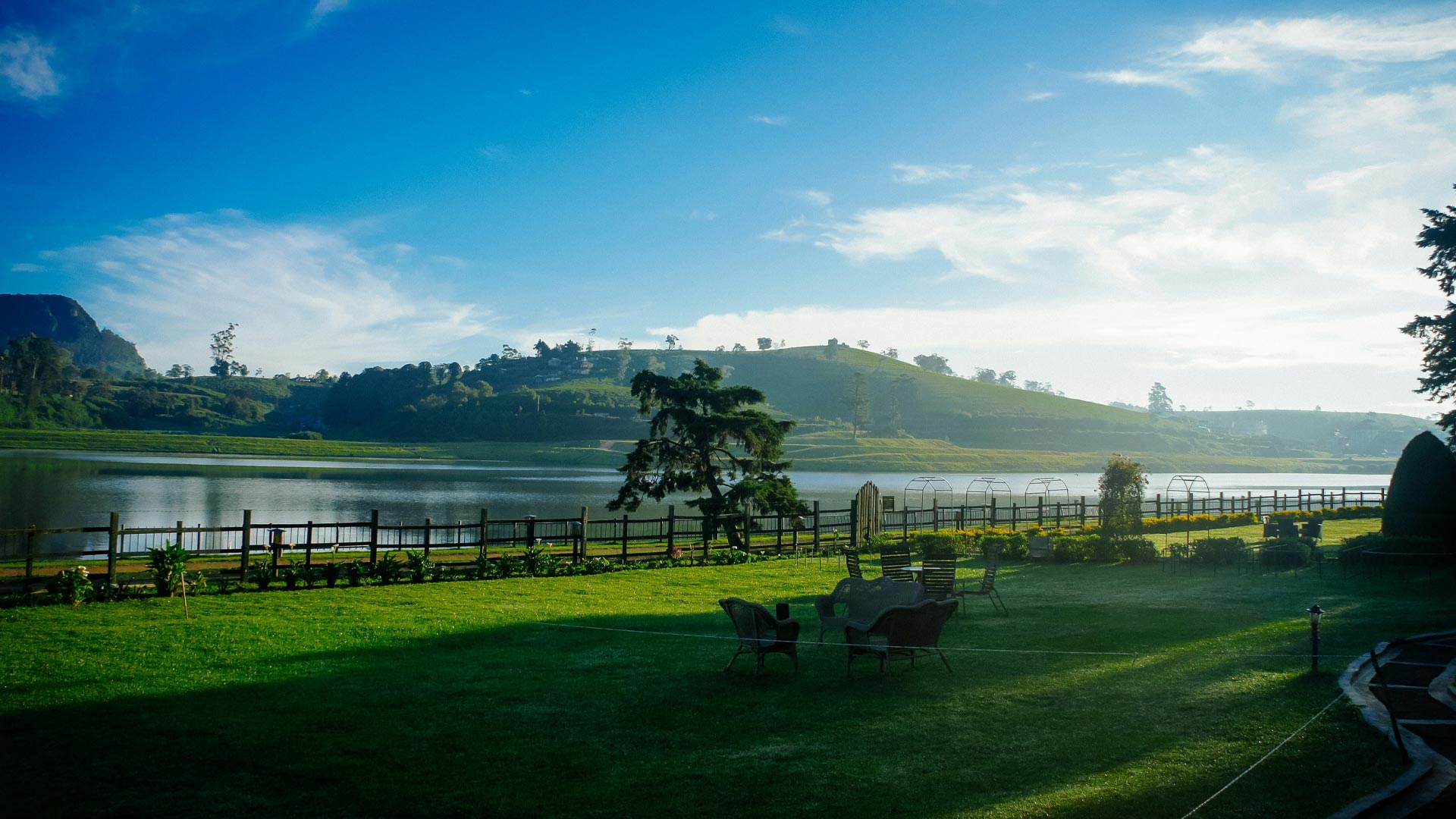 Ceylon Hush - Nuwara Eliya