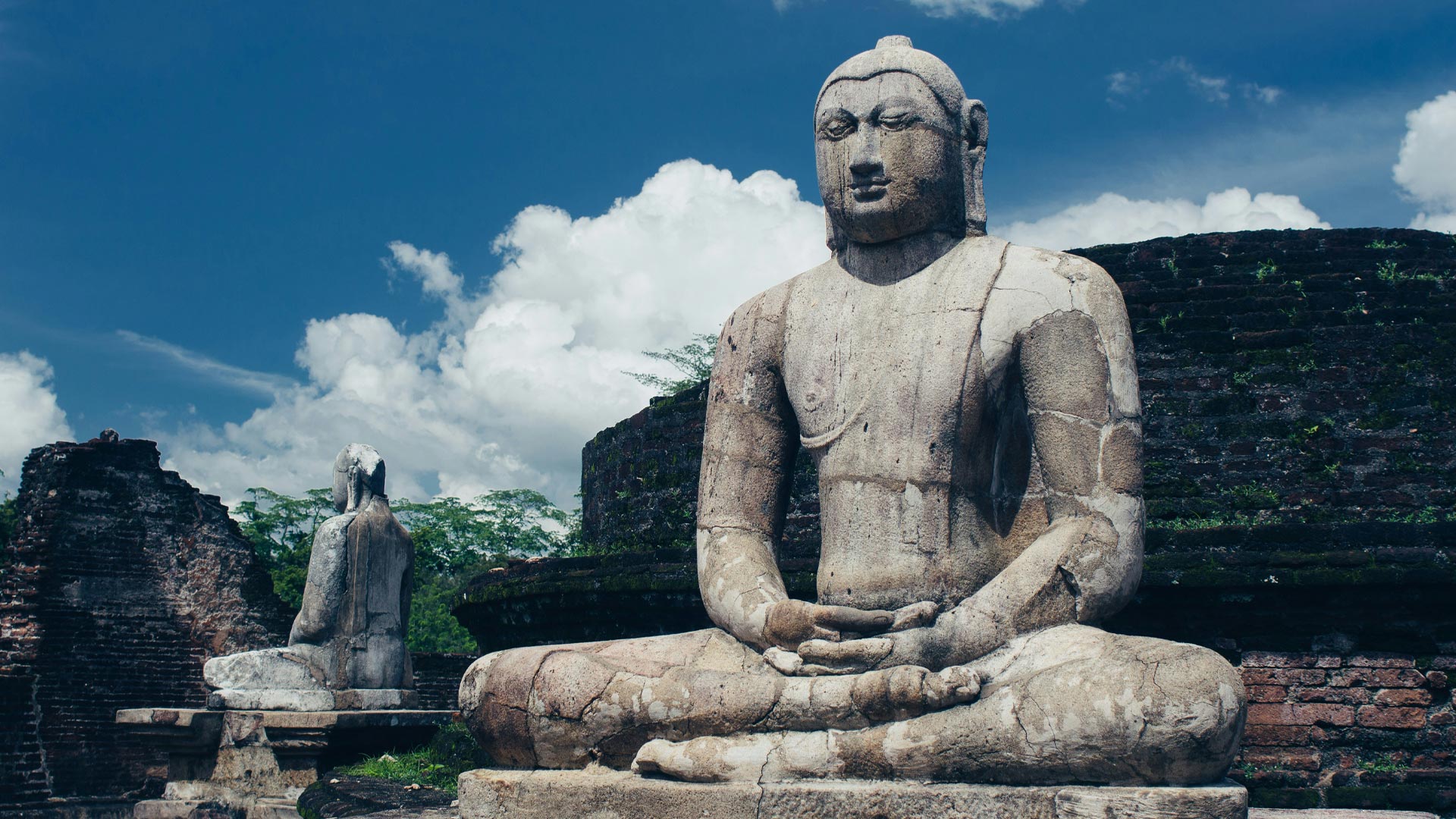 Ceylon Hush - Polonnaruwa