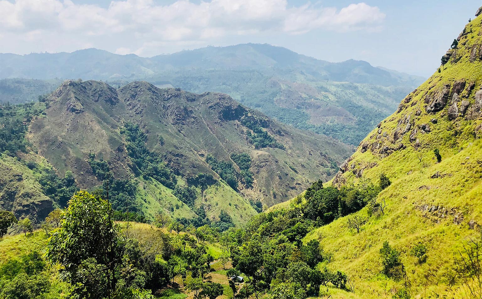 Ceylon hush - Ella rock trailhead