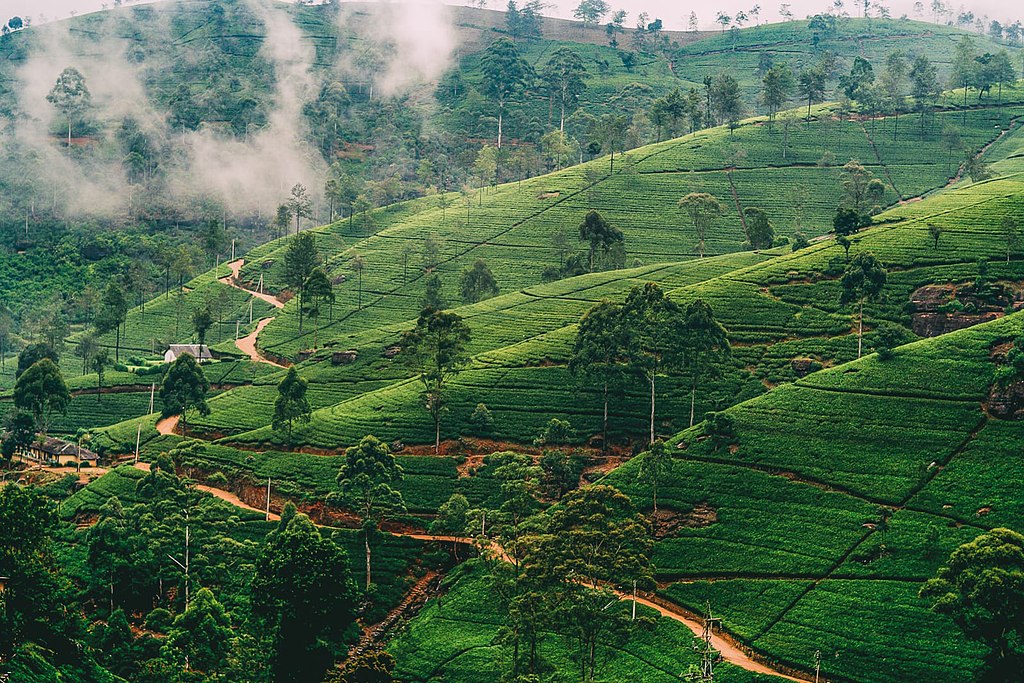 1024px Nuwara Eliya